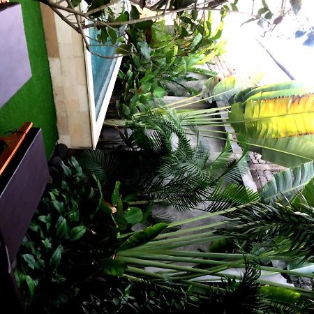 Kubu Kenak Guesthouse Seminyak Exteriér fotografie