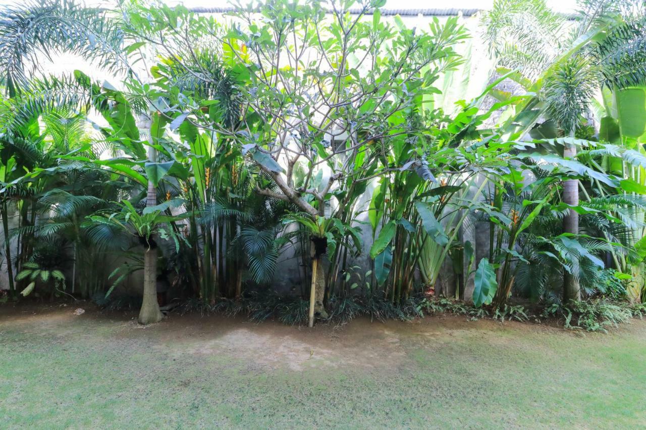 Kubu Kenak Guesthouse Seminyak Exteriér fotografie